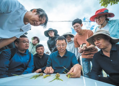 
北大口腔医院黄牛代挂号电话票贩子号贩子网上预约挂号,住院检查加快,青春在科技小院闪闪发光（新时代画卷）