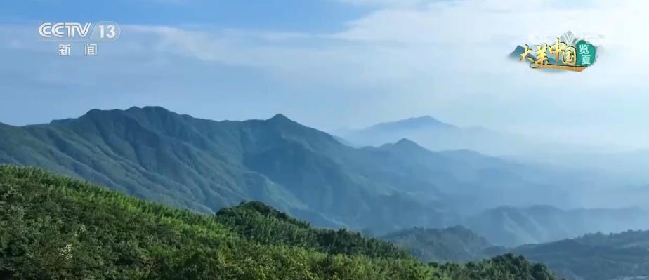 
中山大学孙逸仙纪念医院黄牛代挂号电话票贩子号贩子网上预约挂号,住院检查加快,多种国家珍稀保护树种进入丰果期 为优质树种育种打下基础