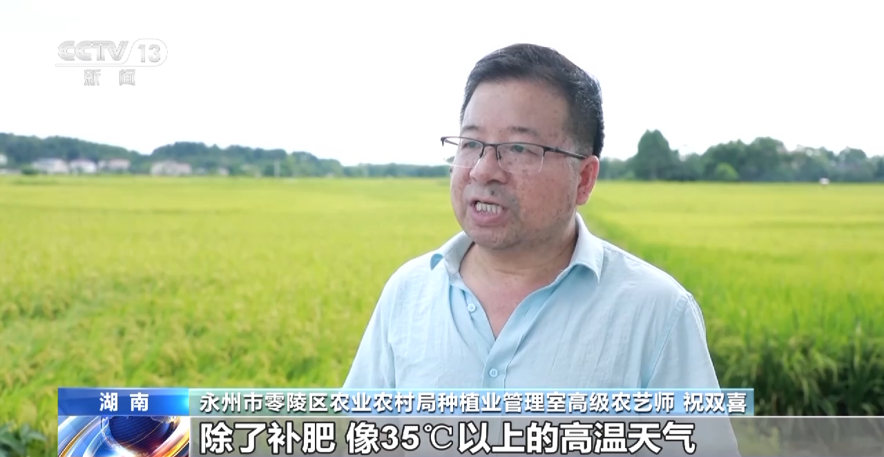 
杭州市第一人民医院黄牛代挂号电话票贩子号贩子网上预约挂号,住院检查加快,当农业生产遇到极端天气 如何做好田间管理？