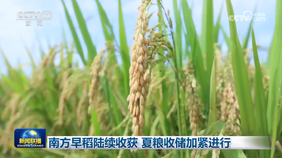 
南京各大医院黄牛代挂号电话票贩子号贩子网上预约挂号,住院检查加快,南方早稻陆续收获 夏粮收储加紧进行