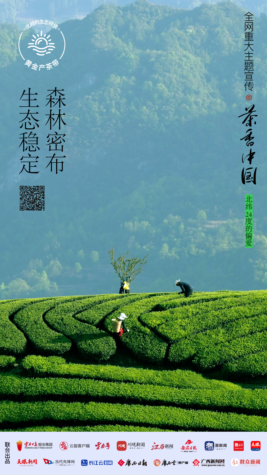 
浙江口腔医院黄牛代挂号电话票贩子号贩子网上预约挂号,住院检查加快,好山好水，出好茶丨茶香中国·北纬24度的偏爱①