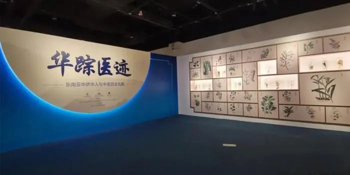 
北京301医院黄牛代挂号电话票贩子号贩子网上预约挂号,住院检查加快,中医药为何应成为中华文化走出去的先锋？