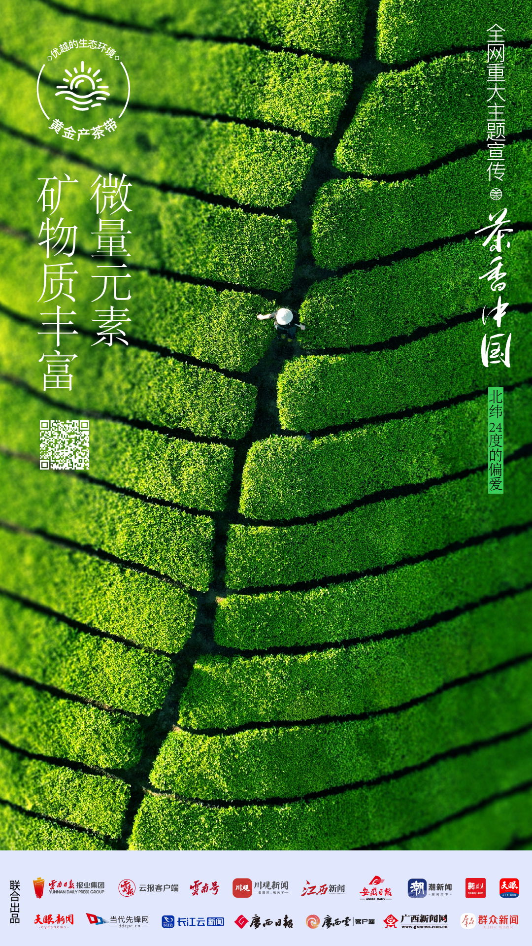 
浙江口腔医院黄牛代挂号电话票贩子号贩子网上预约挂号,住院检查加快,好山好水，出好茶丨茶香中国·北纬24度的偏爱①