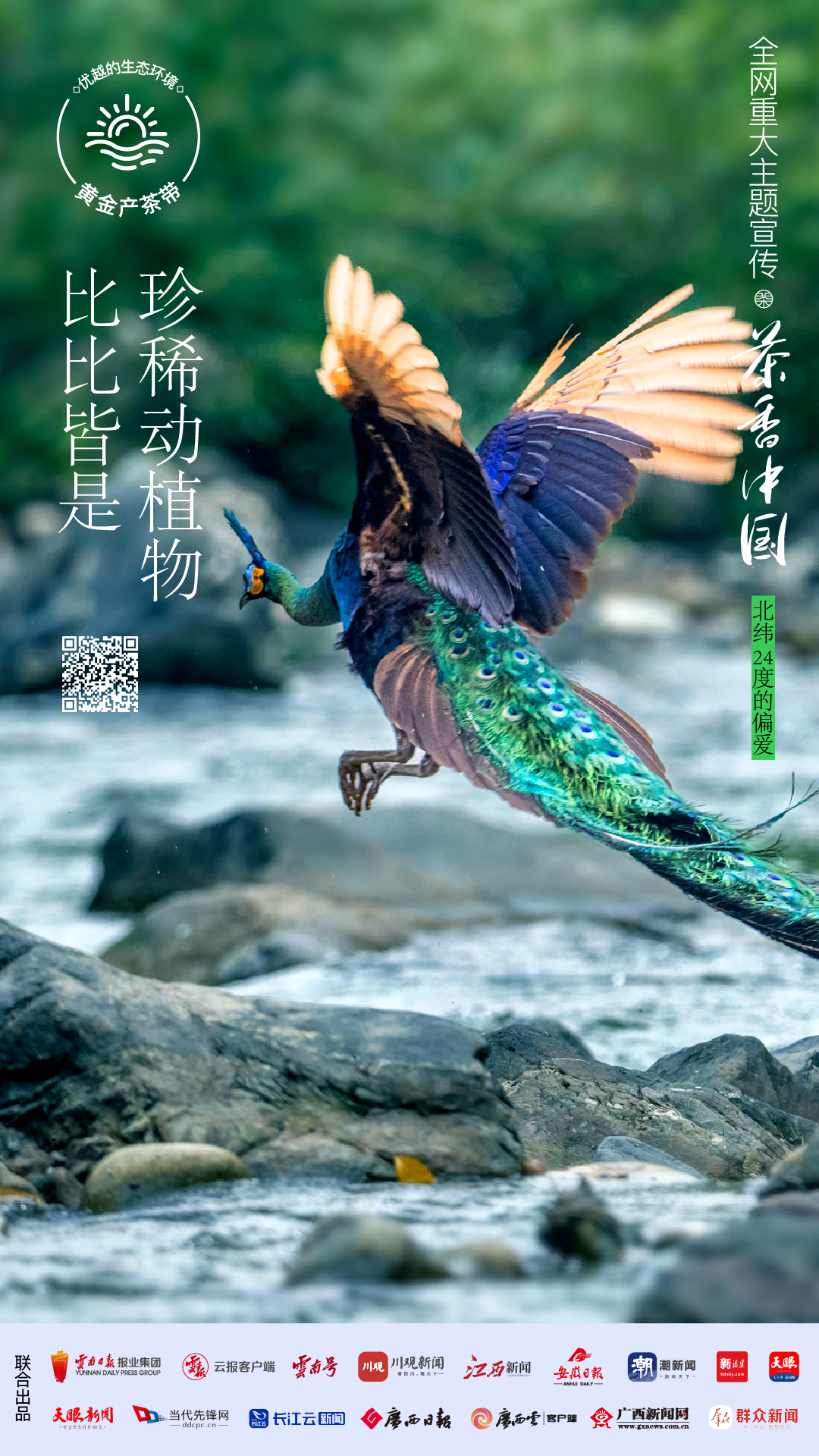 
浙江口腔医院黄牛代挂号电话票贩子号贩子网上预约挂号,住院检查加快,好山好水，出好茶丨茶香中国·北纬24度的偏爱①