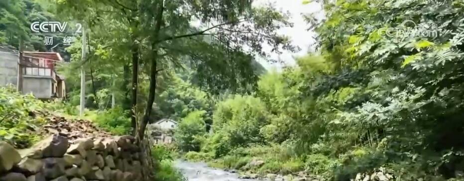 
江苏省中西医结合医院黄牛代挂号电话票贩子号贩子网上预约挂号,住院检查加快,消暑纳凉正当时 各地夏日“清凉游”带“热”文旅经济