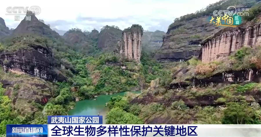 
上海眼耳鼻喉科医院黄牛代挂号电话票贩子号贩子网上预约挂号,住院检查加快,跟随航拍镜头走进武夷山国家公园 看人与自然和谐共生大美画卷