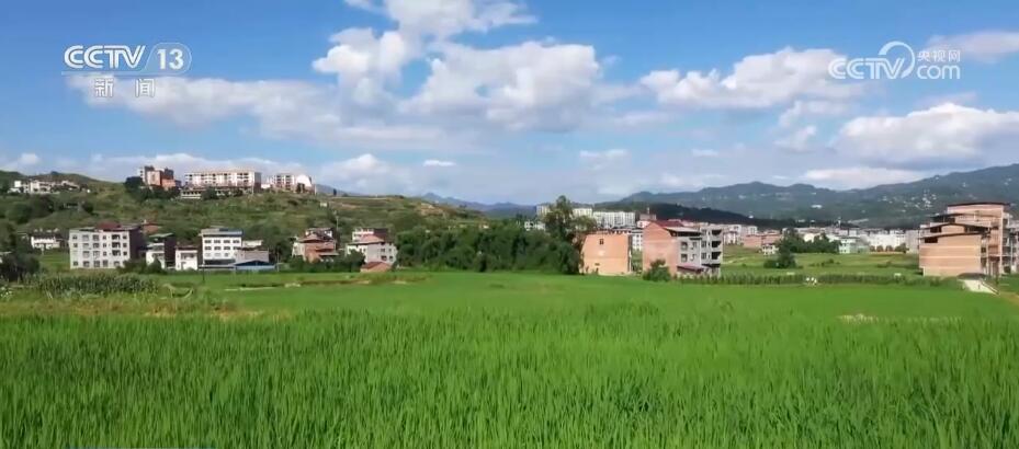 
首都医科大学附属安贞医院黄牛代挂号电话票贩子号贩子网上预约挂号,住院检查加快,持续降雨诱发病虫害多发 农技人员现场“把脉”支招