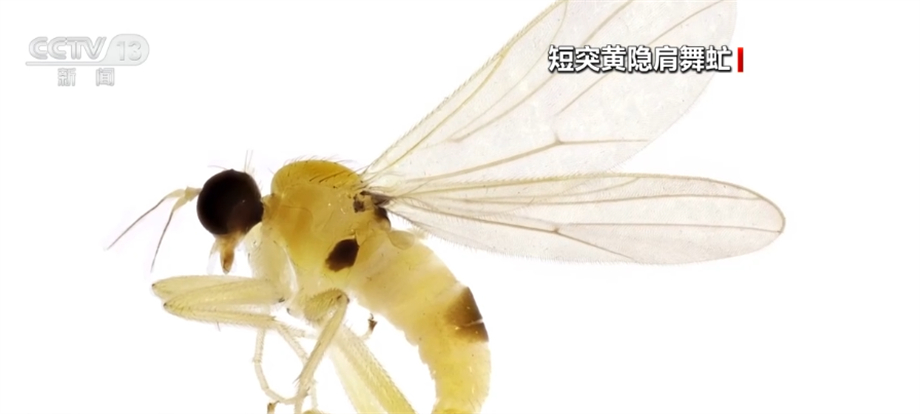
广东省中医院黄牛代挂号电话票贩子号贩子网上预约挂号,住院检查加快,上“新”了！武夷山国家公园再添新物种