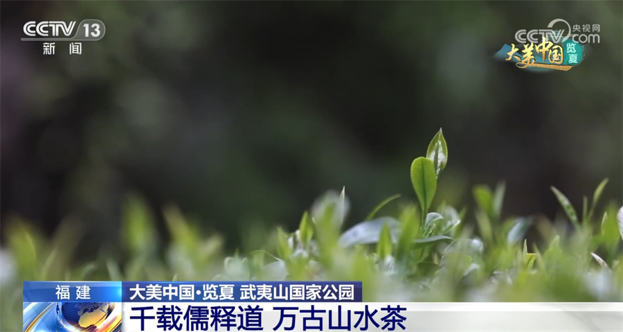 
上海眼耳鼻喉科医院黄牛代挂号电话票贩子号贩子网上预约挂号,住院检查加快,跟随航拍镜头走进武夷山国家公园 看人与自然和谐共生大美画卷