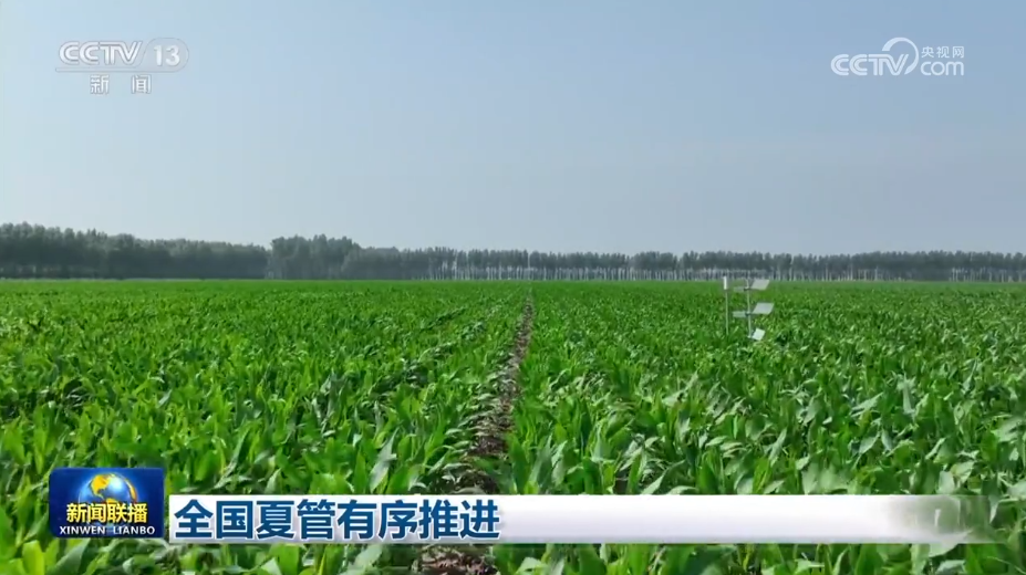 
北京西苑医院黄牛代挂号电话票贩子号贩子网上预约挂号,住院检查加快,全国夏管有序推进
