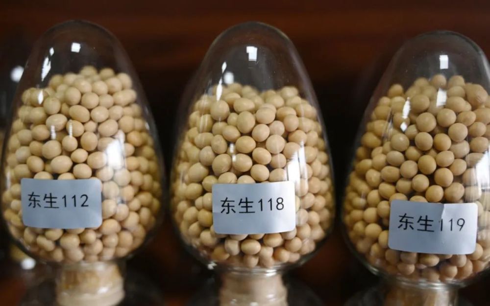 
中国中医科学院广安门医院黄牛代挂号电话票贩子号贩子网上预约挂号,住院检查加快,“想要得到它！”高校录取通知书有大豆7颗，连成7星，用时7年......