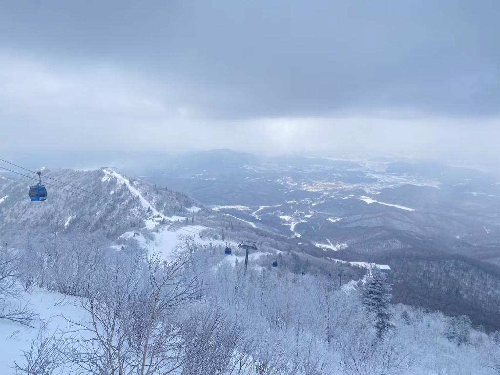
上海华山医院黄牛代挂号电话票贩子号贩子网上预约挂号,住院检查加快,追光丨再迎冬运盛会，为什么是这里？