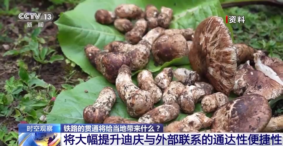 
东部战区总医院黄牛代挂号电话票贩子号贩子网上预约挂号,住院检查加快,九年攻坚！看哈巴雪山隧道贯通背后的故事→