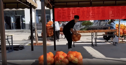 
杭州市儿童医院黄牛代挂号电话票贩子号贩子网上预约挂号,住院检查加快,“根本吃不完！”这份“招生减章”上新了！