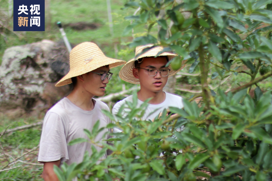 
杭州市儿童医院黄牛代挂号电话票贩子号贩子网上预约挂号,住院检查加快,“根本吃不完！”这份“招生减章”上新了！