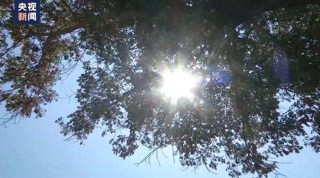 
北京儿研所黄牛代挂号电话票贩子号贩子网上预约挂号,住院检查加快,本周全美各地或将有超过140个高温纪录被打破