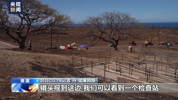 
北京中医药大学东直门医院黄牛代挂号电话票贩子号贩子网上预约挂号,住院检查加快,总台探访丨毛伊岛大火重灾区拉海纳遭严重破坏 搜救艰难进行中