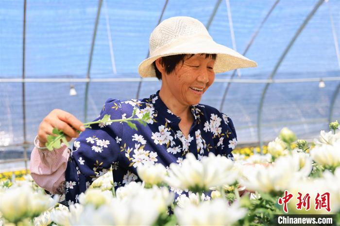 
空军特色医学中心黄牛代挂号电话票贩子号贩子网上预约挂号,住院检查加快,山东枣庄：立秋将至菊农忙