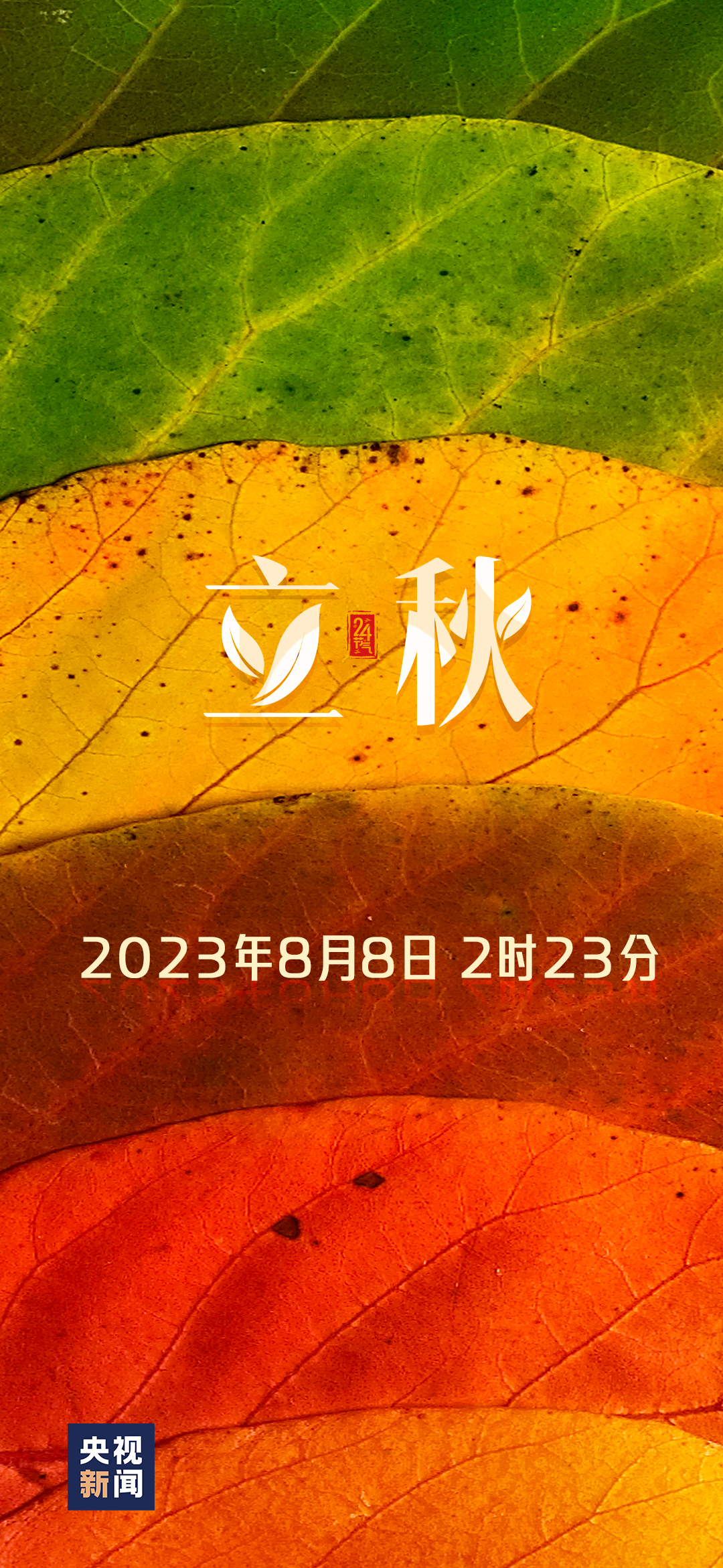 
北京安贞医院黄牛代挂号电话票贩子号贩子网上预约挂号,住院检查加快,一～叶～知～秋～