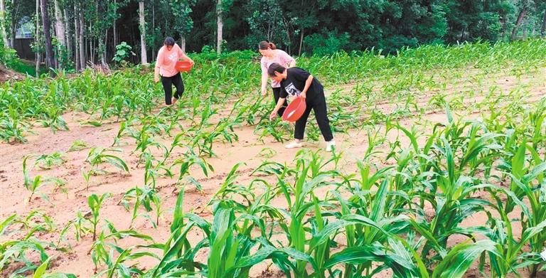 
广东省中医院黄牛代挂号电话票贩子号贩子网上预约挂号,住院检查加快,抗洪救灾 重建家园