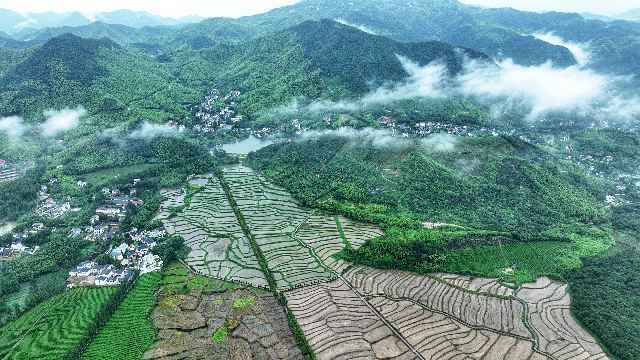 
北京人民医院黄牛代挂号电话票贩子号贩子网上预约挂号,住院检查加快,学习有理丨人文经济学视角下的乡村振兴路径