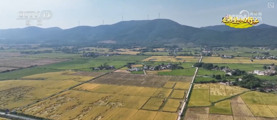 
北京301医院黄牛代挂号电话票贩子号贩子网上预约挂号,住院检查加快,稻浪轻摆、瓜果飘香 绿水青山间“丰”景怡人