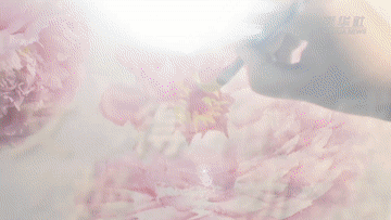 中山大学孙逸仙纪念医院黄牛代挂号电话票贩子号贩子网上预约挂号,住院检查加快,数说新中国75年|人民文化生活日益丰富 文化强国建设加力提速