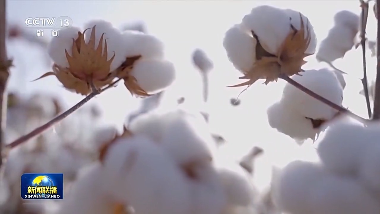 
北医六院黄牛代挂号电话票贩子号贩子网上预约挂号,住院检查加快,在希望的田野上丨新型农机已上线 助力秋收好“丰”景