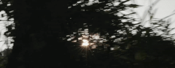 首都医科大学附属北京口腔医院黄牛代挂号电话票贩子号贩子网上预约挂号,住院检查加快,总书记关心的世界文化遗产|武夷文脉耀千年