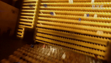 中山大学孙逸仙纪念医院黄牛代挂号电话票贩子号贩子网上预约挂号,住院检查加快,数说新中国75年|人民文化生活日益丰富 文化强国建设加力提速