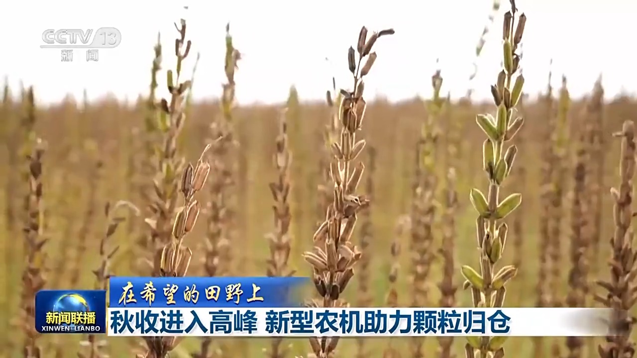 
北医六院黄牛代挂号电话票贩子号贩子网上预约挂号,住院检查加快,在希望的田野上丨新型农机已上线 助力秋收好“丰”景