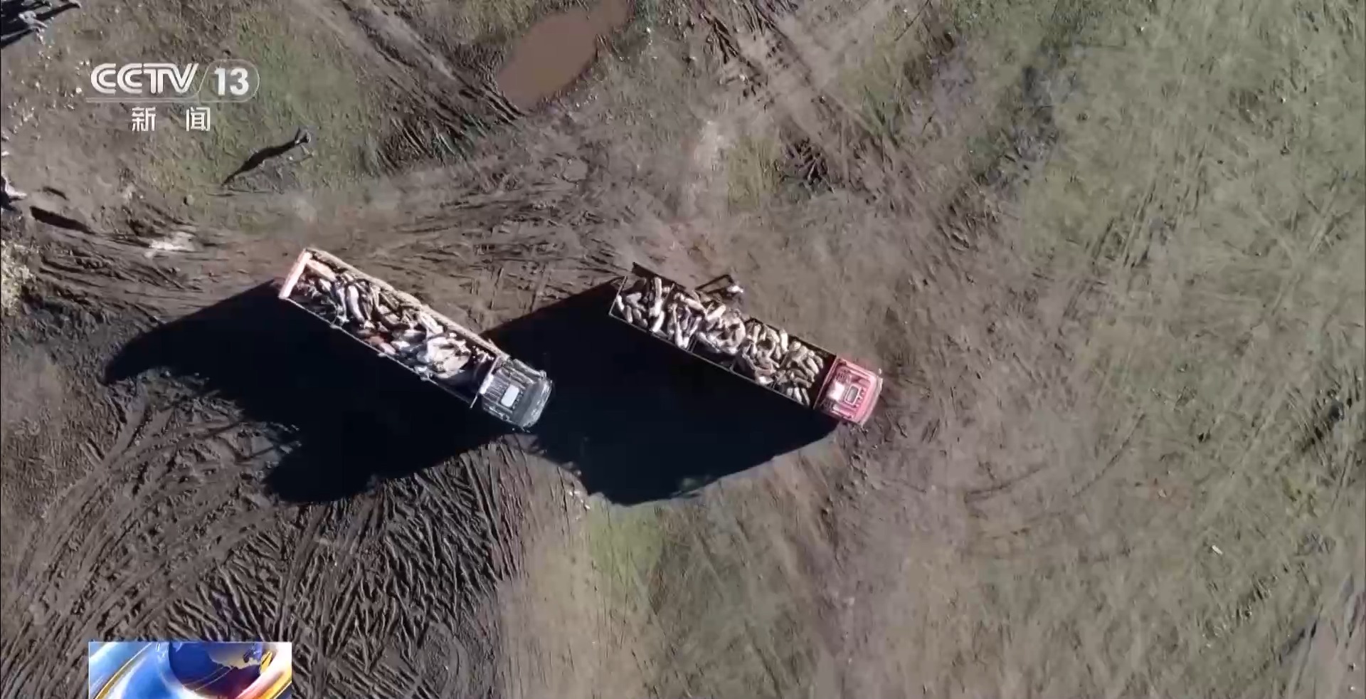 
南京鼓楼医院黄牛代挂号电话票贩子号贩子网上预约挂号,住院检查加快,小羊也有“大巴”坐 新疆60余万只牲畜转场工作进入尾声