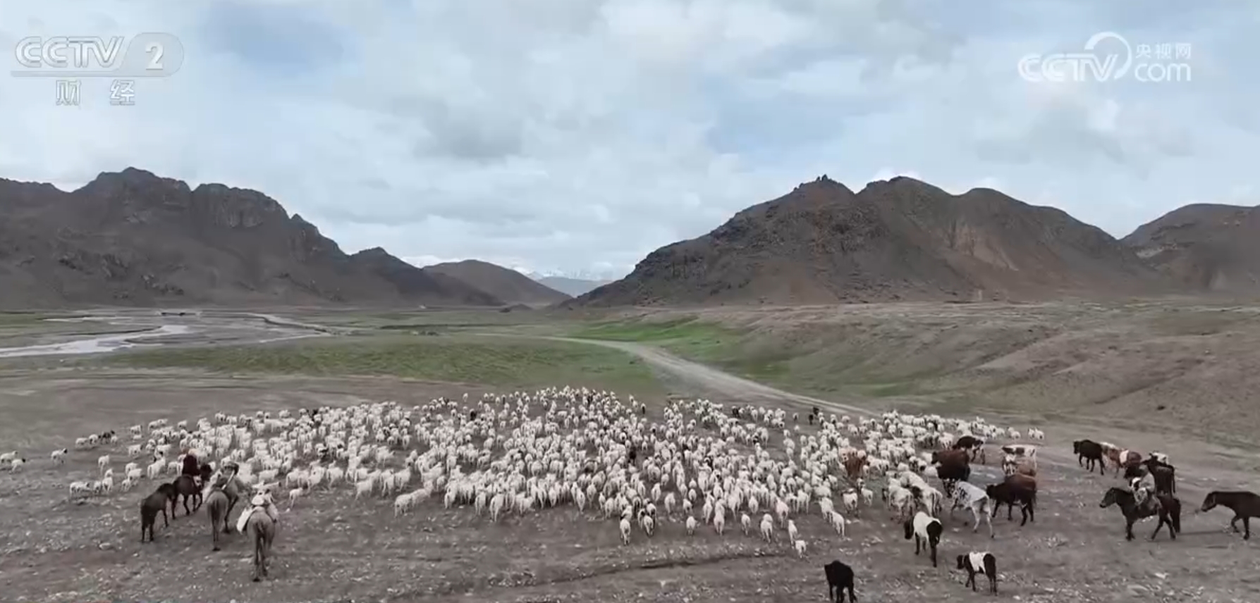 
江苏省中西医结合医院黄牛代挂号电话票贩子号贩子网上预约挂号,住院检查加快,驱“碱”化“盐”让戈壁滩成为饲草基地 “柴达木盐羊”走上亚运餐桌