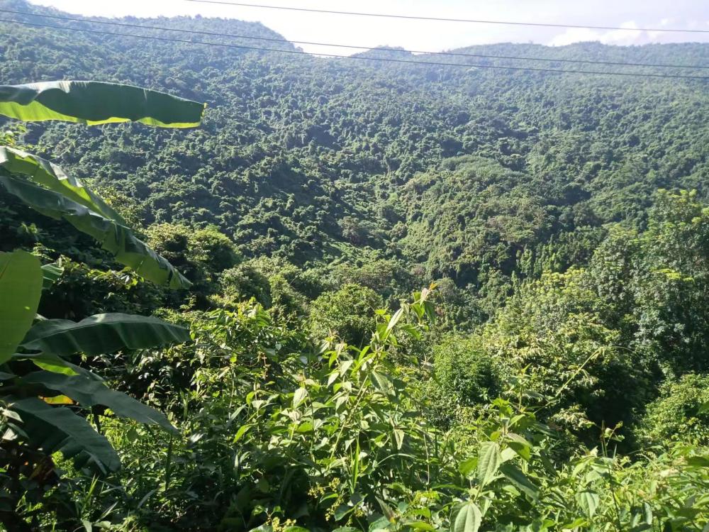 
北京八大处整形医院黄牛代挂号电话票贩子号贩子网上预约挂号,住院检查加快,习近平总书记关切事｜给子孙后代留下珍贵的自然遗产