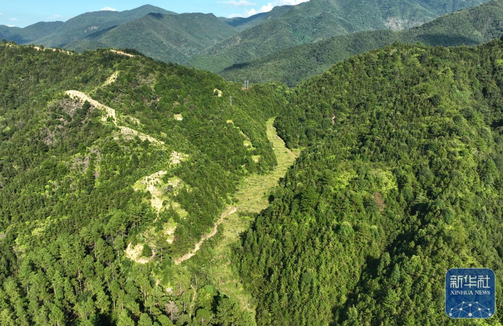 
南京脑科医院黄牛代挂号电话票贩子号贩子网上预约挂号,住院检查加快,寻找照片中的TA｜重走漫漫乡邮路 见证山乡焕新颜