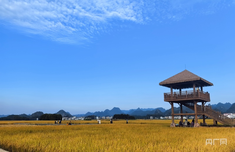 
北京广安门中医院黄牛代挂号电话票贩子号贩子网上预约挂号,住院检查加快,秋收“丰”景｜在希望的田野奏响晚稻丰收曲