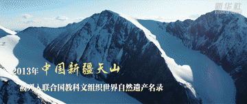 博爱医院黄牛代挂号电话票贩子号贩子网上预约挂号,住院检查加快,这就是新疆