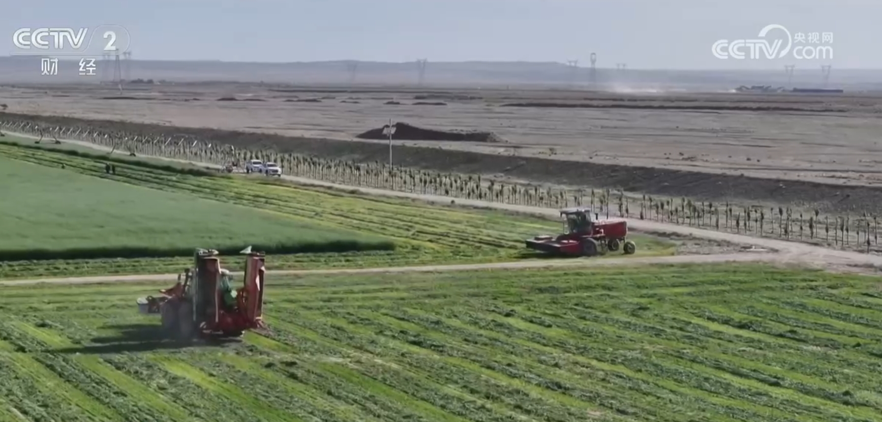 
江苏省中西医结合医院黄牛代挂号电话票贩子号贩子网上预约挂号,住院检查加快,驱“碱”化“盐”让戈壁滩成为饲草基地 “柴达木盐羊”走上亚运餐桌