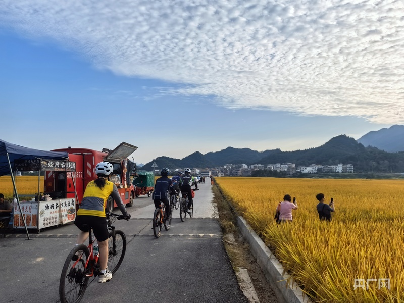 
北京广安门中医院黄牛代挂号电话票贩子号贩子网上预约挂号,住院检查加快,秋收“丰”景｜在希望的田野奏响晚稻丰收曲