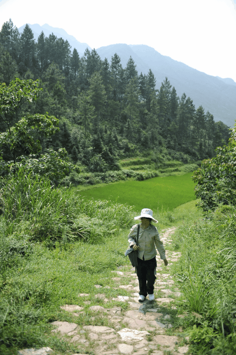 
南京脑科医院黄牛代挂号电话票贩子号贩子网上预约挂号,住院检查加快,寻找照片中的TA｜重走漫漫乡邮路 见证山乡焕新颜
