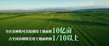 博爱医院黄牛代挂号电话票贩子号贩子网上预约挂号,住院检查加快,这就是新疆