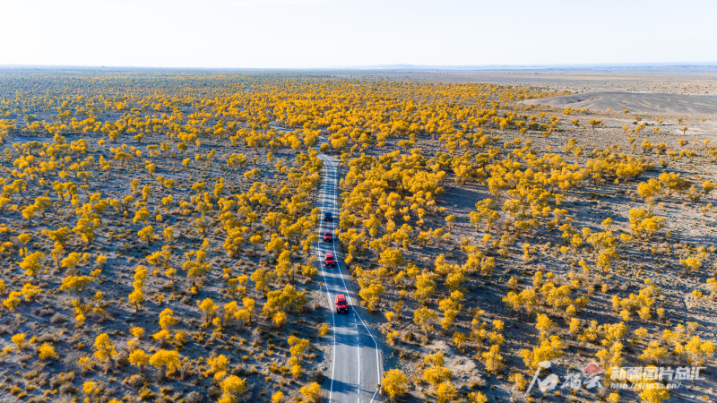 
北京佑安医院黄牛代挂号电话票贩子号贩子网上预约挂号,住院检查加快,文化中国行丨胡杨“进度条”加载成功，新疆各地打开方式是这样的……