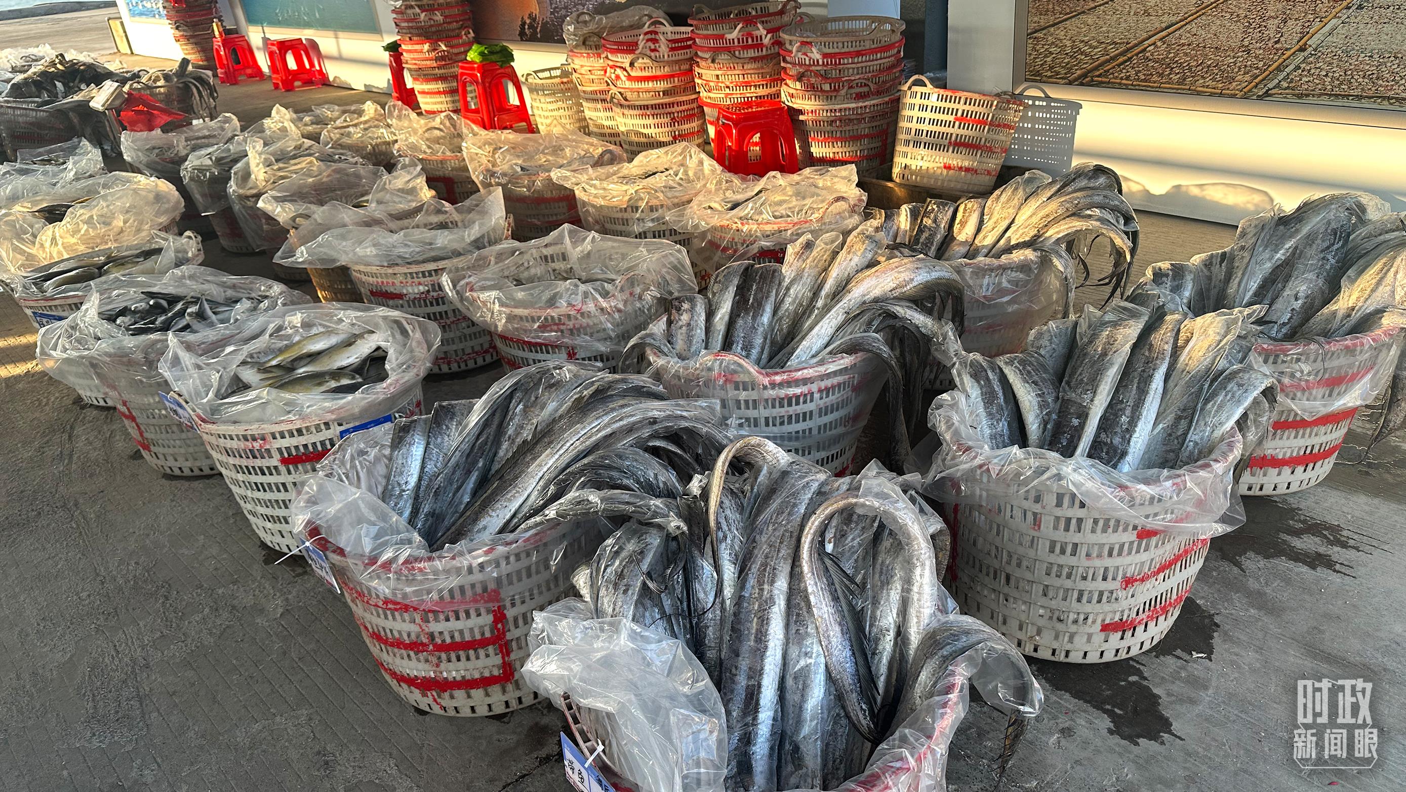 
博爱医院黄牛代挂号电话票贩子号贩子网上预约挂号,住院检查加快,时政新闻眼丨习近平赴福建考察，看闽山闽水物华新