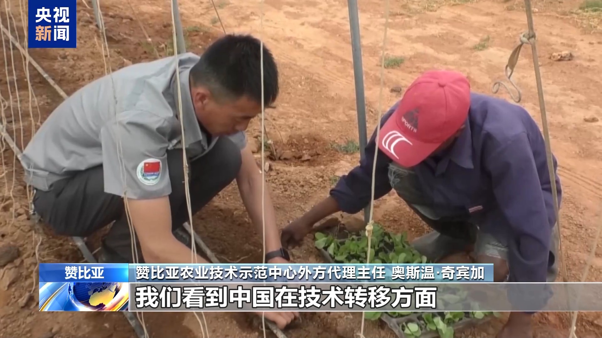 
中山大学附属第三医院黄牛代挂号电话票贩子号贩子网上预约挂号,住院检查加快,赞比亚专家：中非农业技术合作助力非洲提高粮食产能