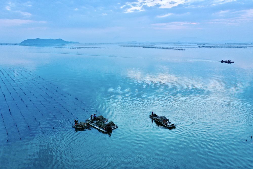 
上海精神卫生中心黄牛代挂号电话票贩子号贩子网上预约挂号,住院检查加快,第1视点丨总书记考察的这个纪念馆，闪耀着为民服务的光辉