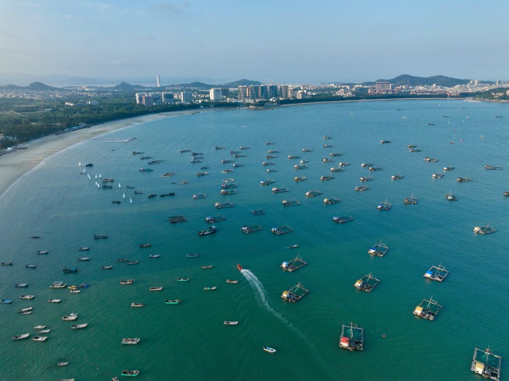 
上海精神卫生中心黄牛代挂号电话票贩子号贩子网上预约挂号,住院检查加快,第1视点丨总书记考察的这个纪念馆，闪耀着为民服务的光辉