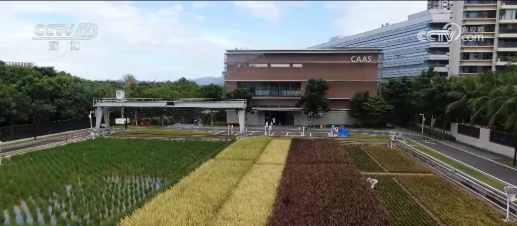 
湖南中医附一医院黄牛代挂号电话票贩子号贩子网上预约挂号,住院检查加快,从育种到收割 科技无处不在 “大国粮仓”装满科技“密码”