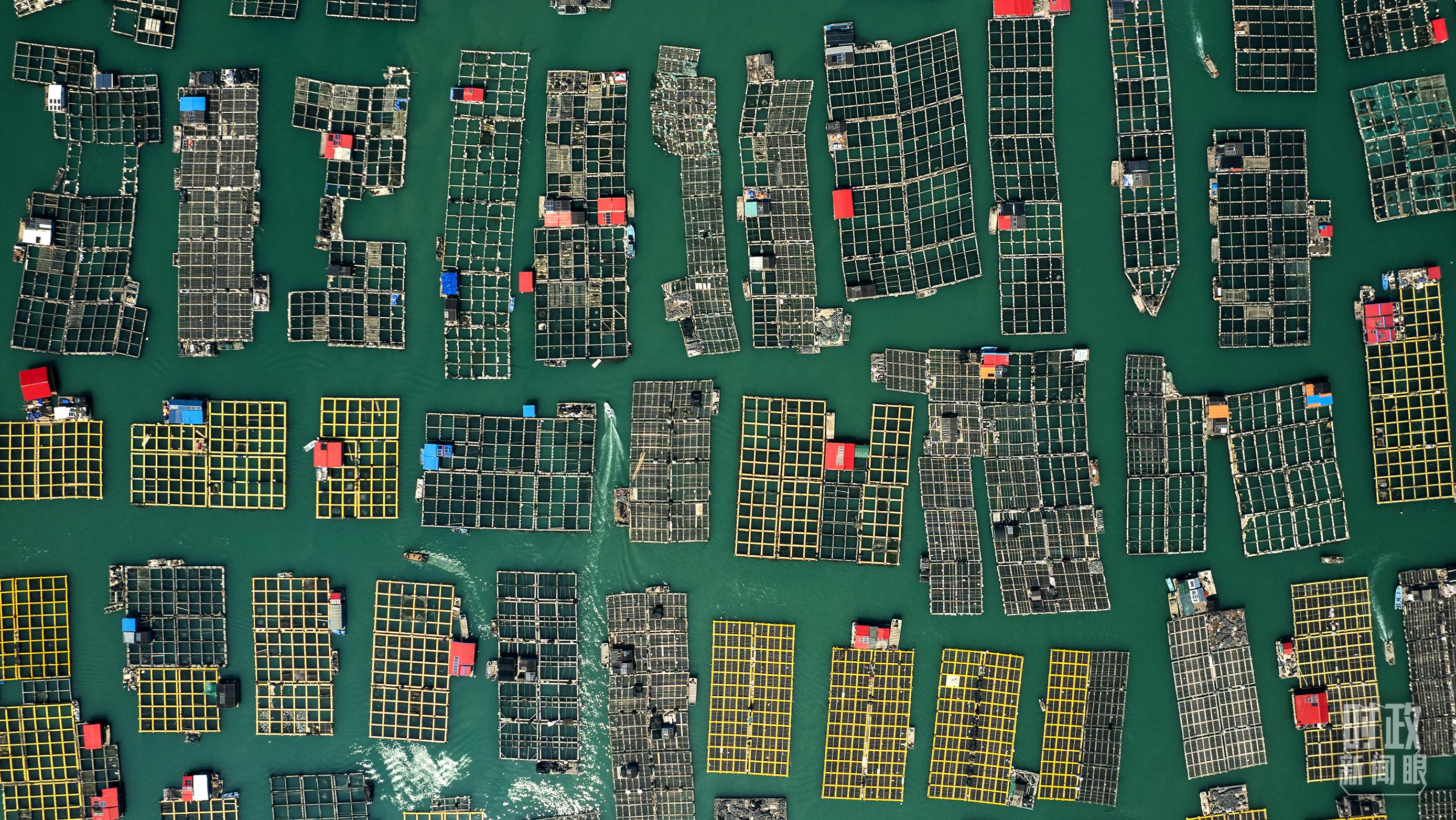 
博爱医院黄牛代挂号电话票贩子号贩子网上预约挂号,住院检查加快,时政新闻眼丨习近平赴福建考察，看闽山闽水物华新