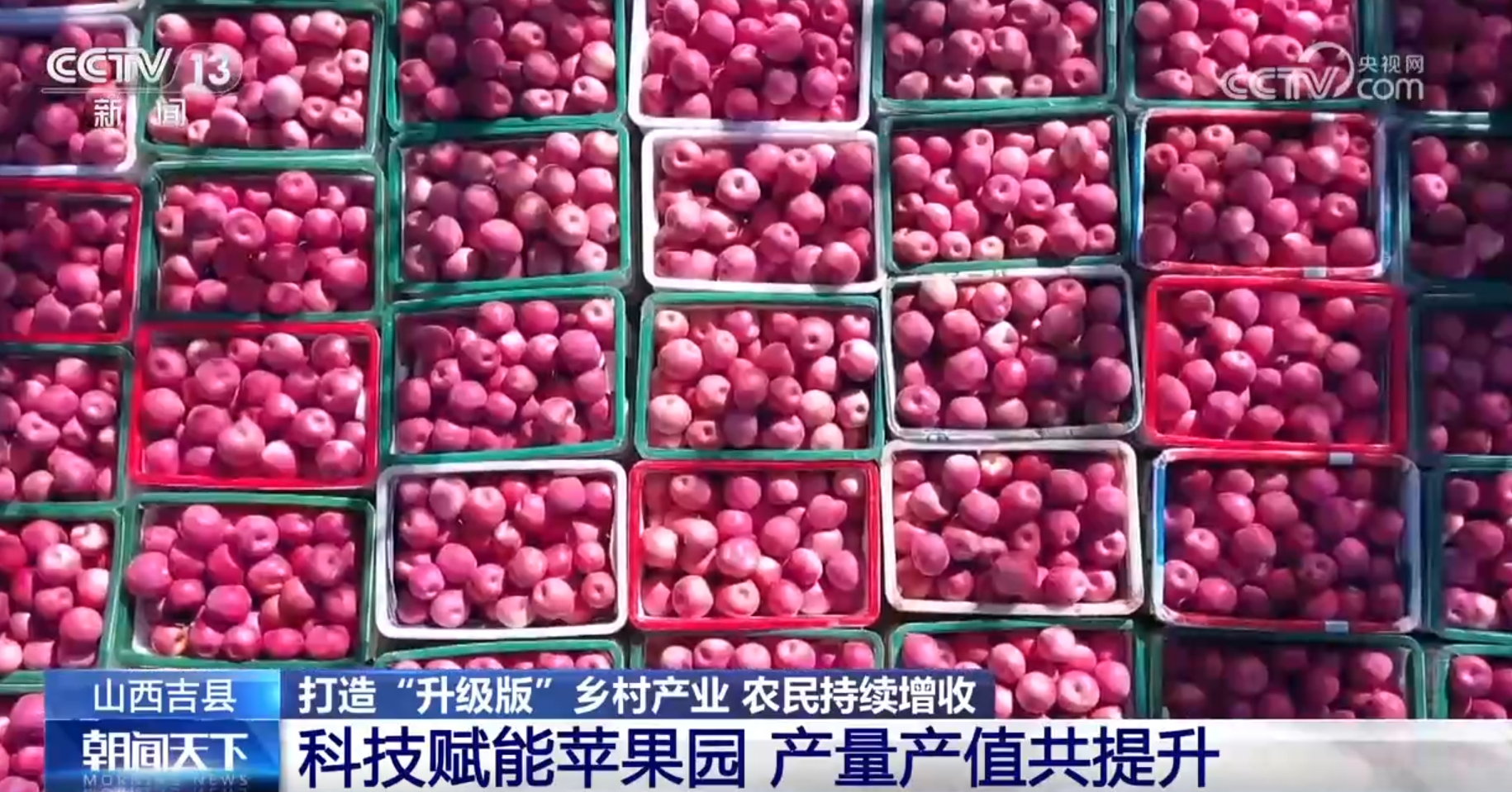 
北京儿研所黄牛代挂号电话票贩子号贩子网上预约挂号,住院检查加快,“硬核”数据见证我国巩固拓展脱贫攻坚成果“成绩单”