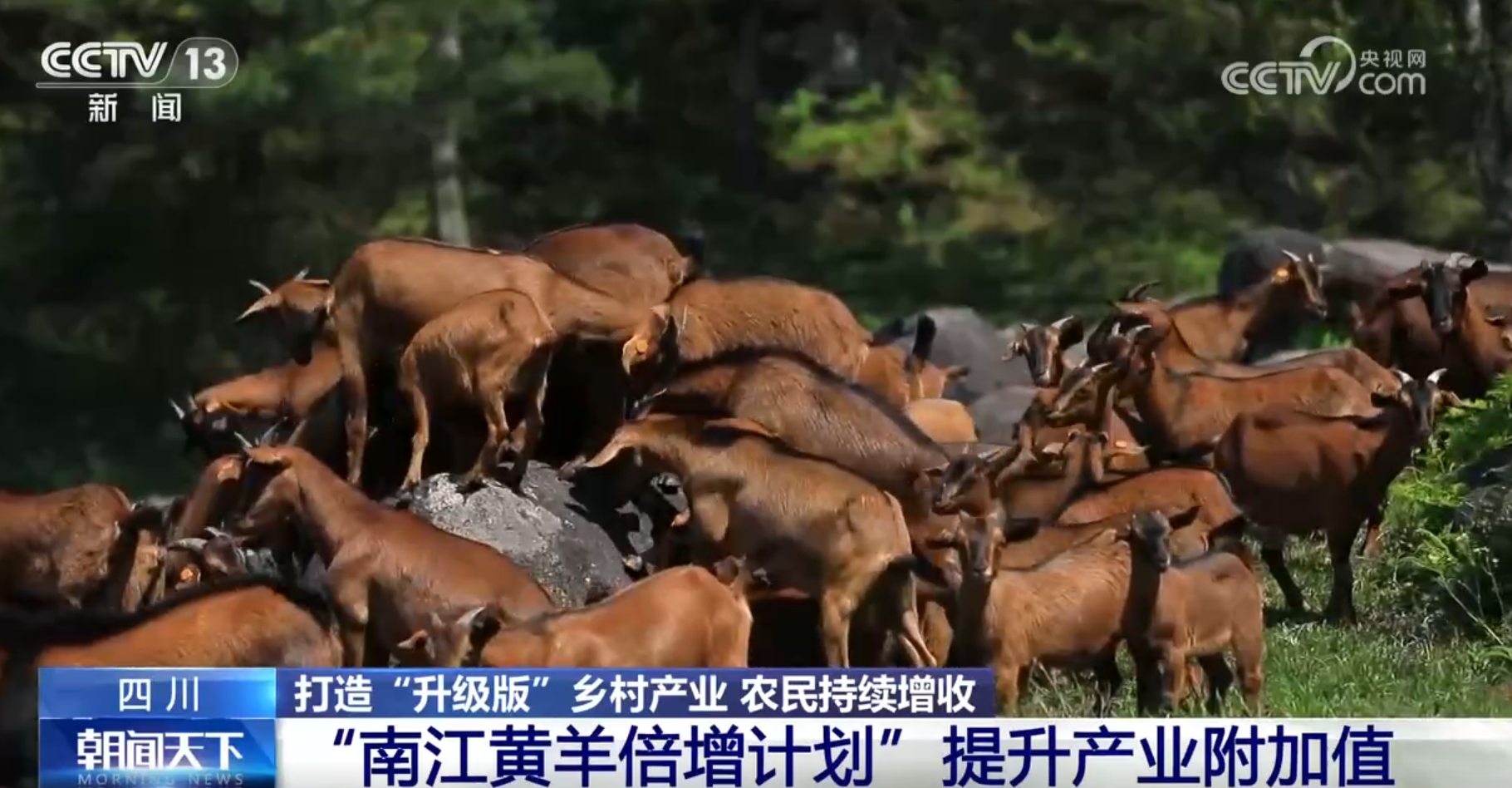 
北京儿研所黄牛代挂号电话票贩子号贩子网上预约挂号,住院检查加快,“硬核”数据见证我国巩固拓展脱贫攻坚成果“成绩单”